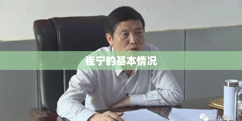崔宁的基本情况