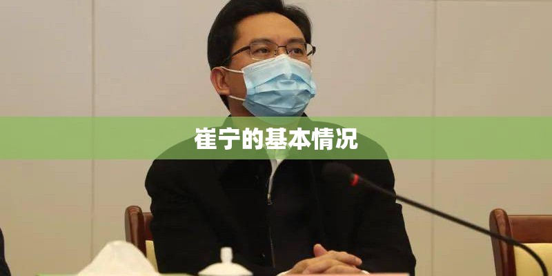 崔宁的基本情况