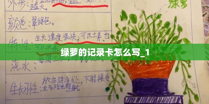 绿萝的记录卡怎么写_1