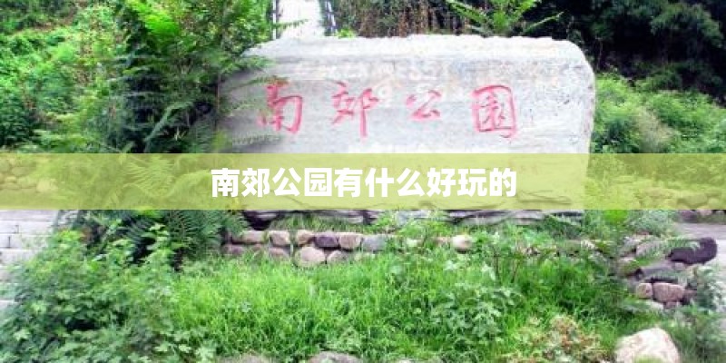南郊公园有什么好玩的 南郊公园有什么好玩的