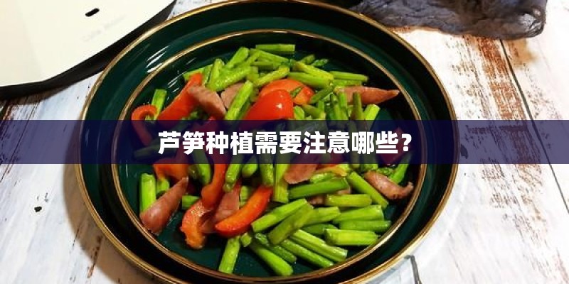 芦笋种植需要注意哪些？