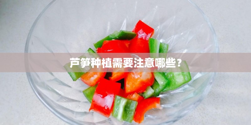 芦笋种植需要注意哪些？