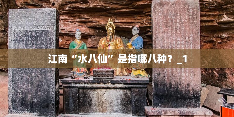 江南“水八仙”是指哪八种？_1