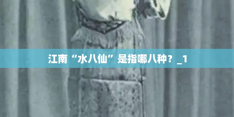 江南“水八仙”是指哪八种？_1