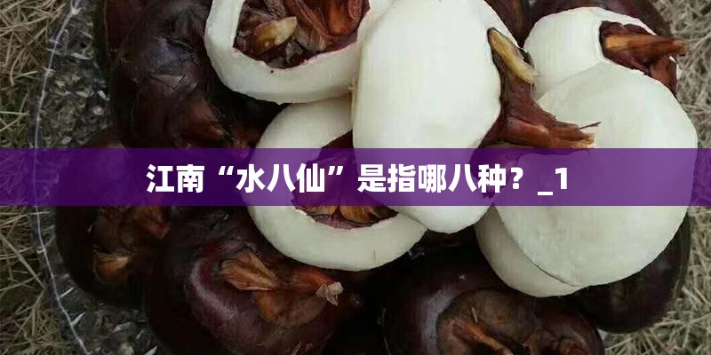江南“水八仙”是指哪八种？_1