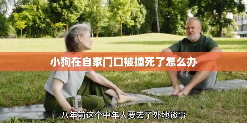 小狗在自家门口被撞死了怎么办