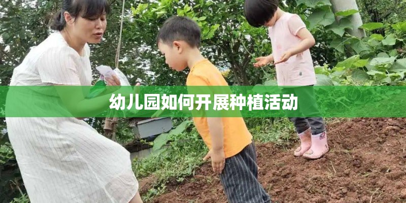 幼儿园如何开展种植活动