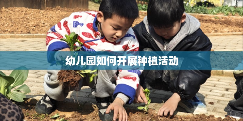幼儿园如何开展种植活动 幼儿园如何开展种植活动