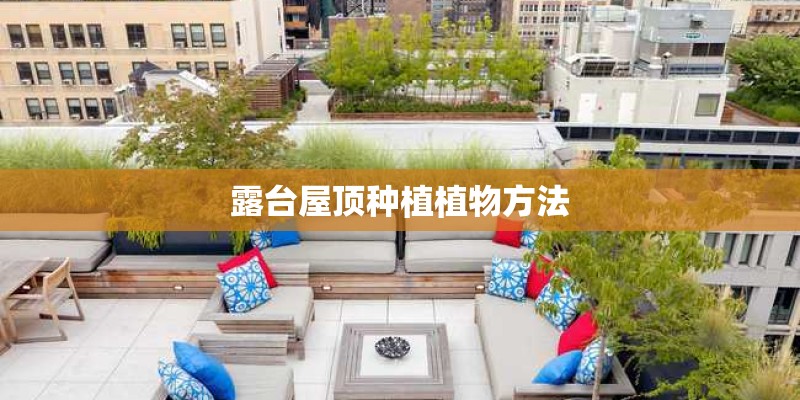 露台屋顶种植植物方法