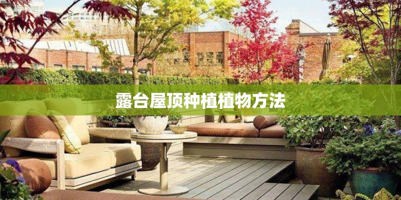 露台屋顶种植植物方法