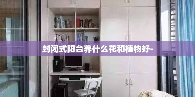 封闭式阳台养什么花和植物好-