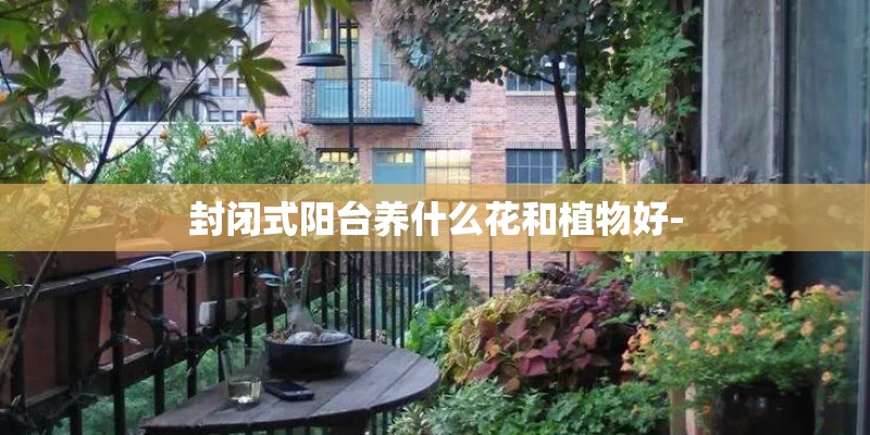 封闭式阳台养什么花和植物好-