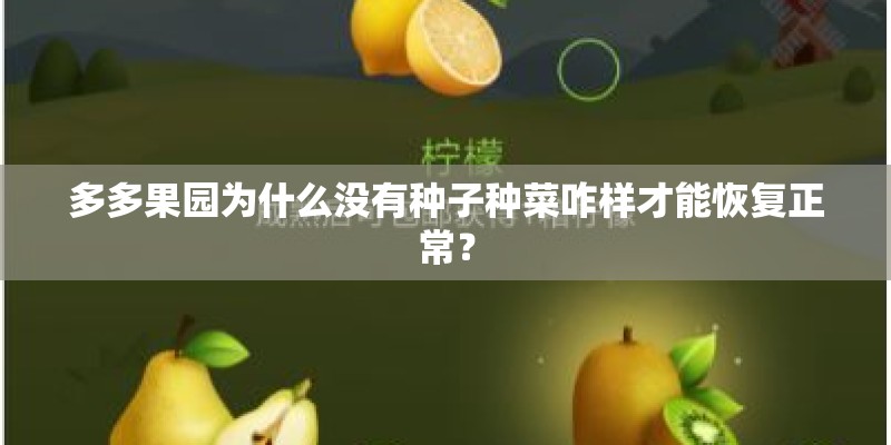 多多果园为什么没有种子种菜咋样才能恢复正常? 多多果园为什么没有种子种菜咋样才能恢复正常?