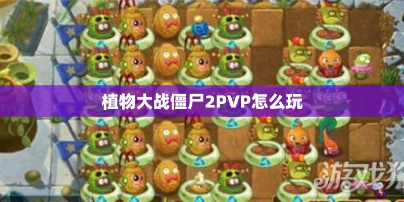 植物大战僵尸2PVP怎么玩