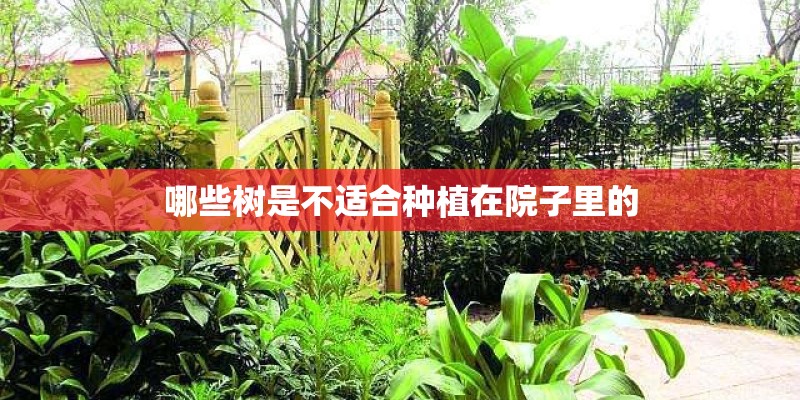 哪些树是不适合种植在院子里的