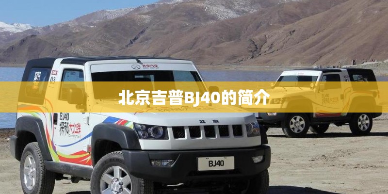 北京吉普BJ40的简介