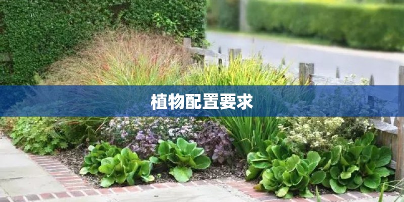 植物配置要求 植物配置要求