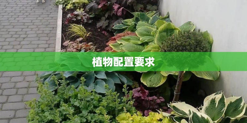 植物配置要求 植物配置要求