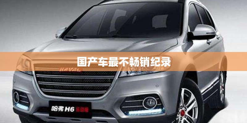 国产车最不畅销纪录