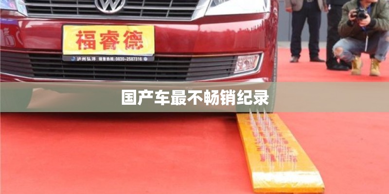 国产车最不畅销纪录