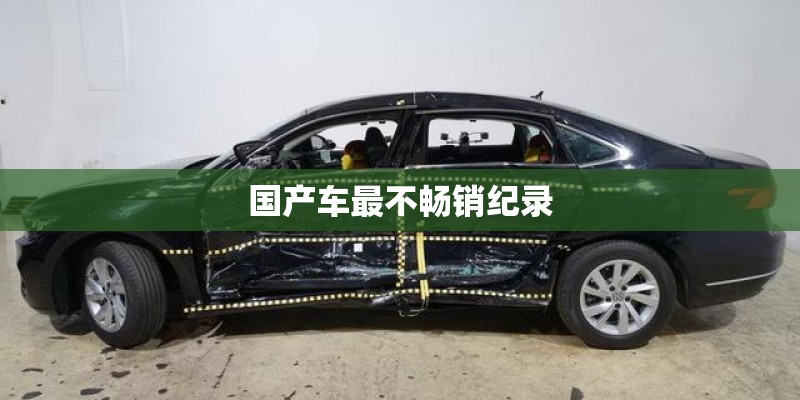 国产车最不畅销纪录