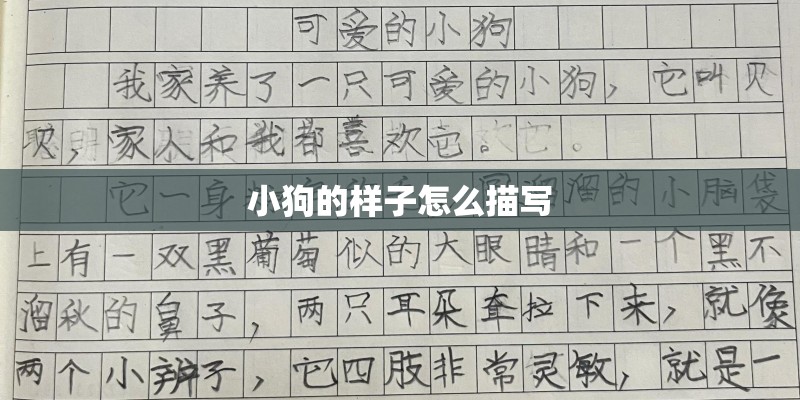小狗的样子怎么描写 小狗的样子怎么描写