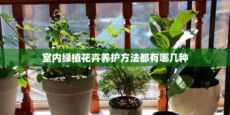 室内绿植花卉养护方法都有哪几种