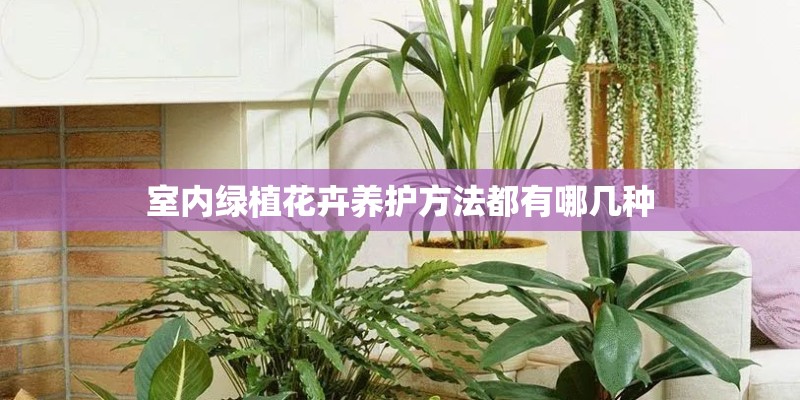 室内绿植花卉养护方法都有哪几种