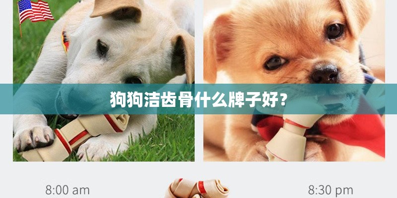 狗狗洁齿骨什么牌子好？
