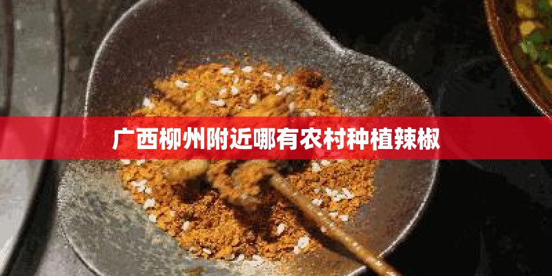 小学-学年第一学期校本培训计划