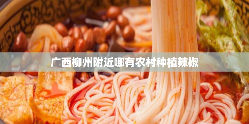 广西柳州附近哪有农村种植辣椒