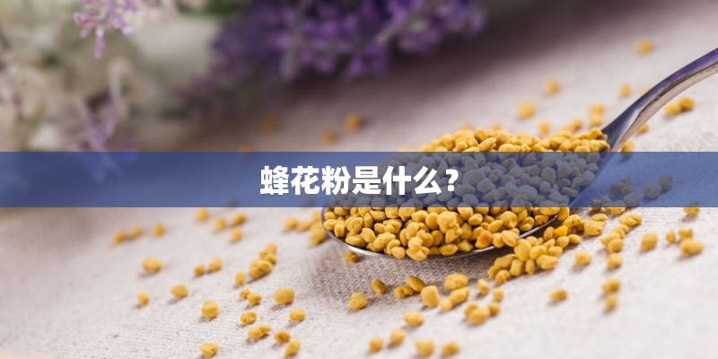 蜂花粉是什么？