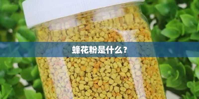 蜂花粉是什么？