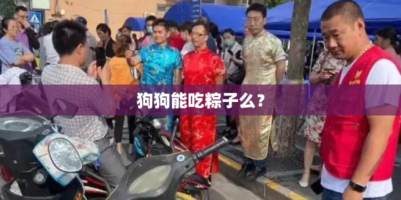 狗狗能吃粽子么？
