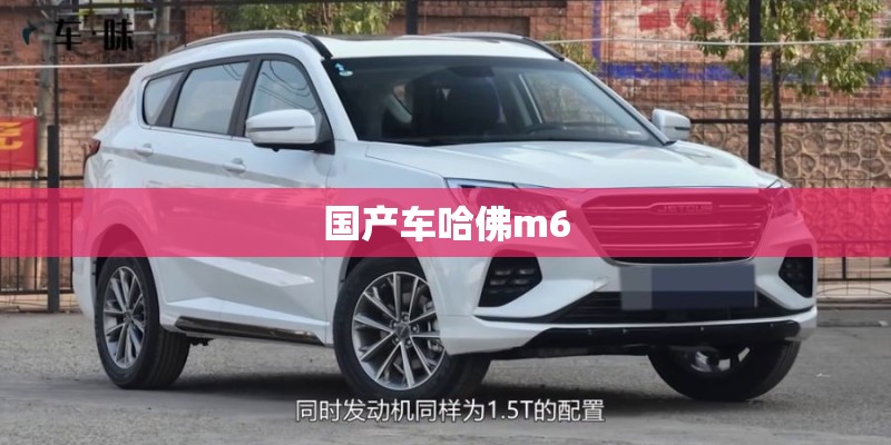 国产车哈佛m6