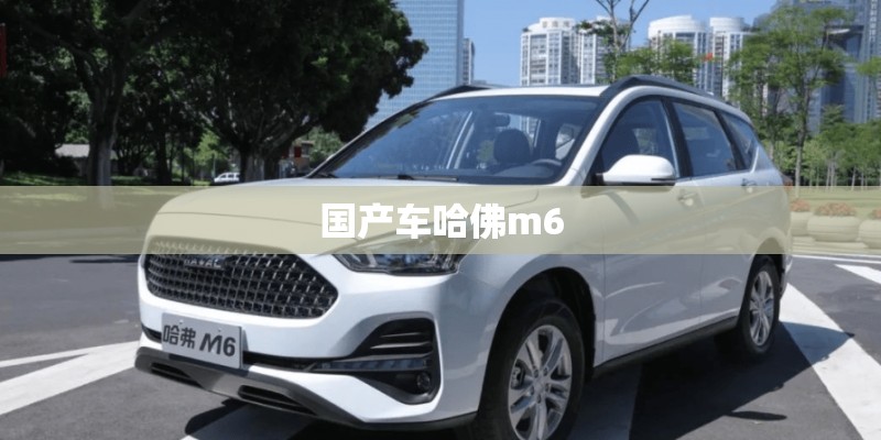 国产车哈佛m6