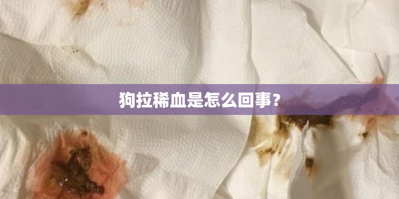 狗拉稀血是怎么回事？