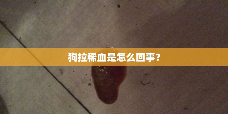狗拉稀血是怎么回事？