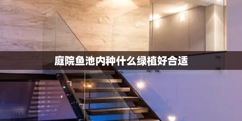 庭院鱼池内种什么绿植好合适
