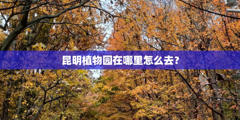 昆明植物园在哪里怎么去? 昆明植物园在哪里怎么去?