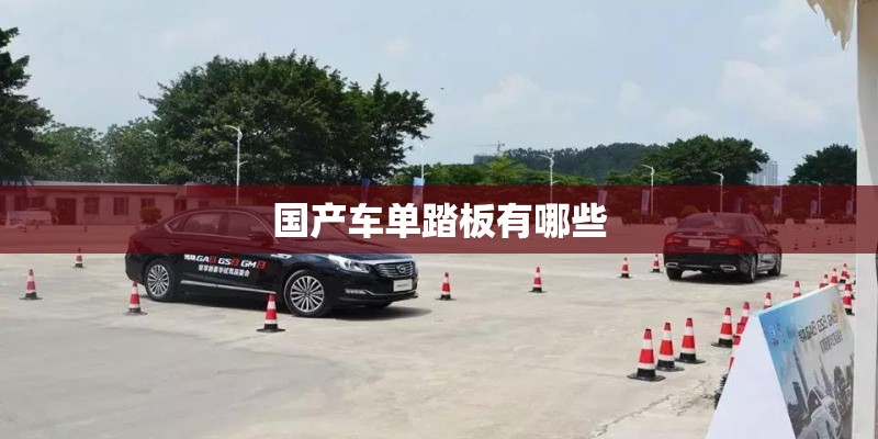 国产车单踏板有哪些 国产车单踏板有哪些