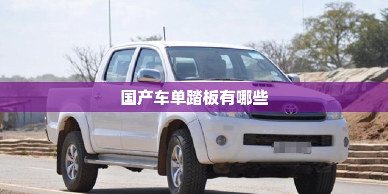 国产车单踏板有哪些 国产车单踏板有哪些