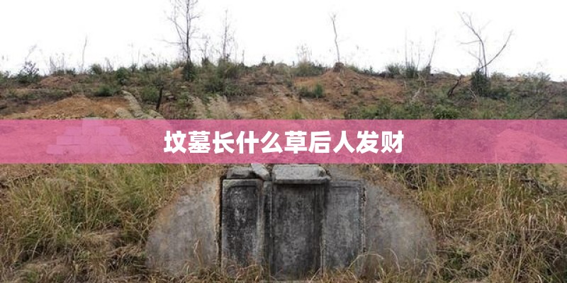 坟墓长什么草后人发财
