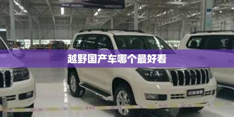 越野国产车哪个最好看