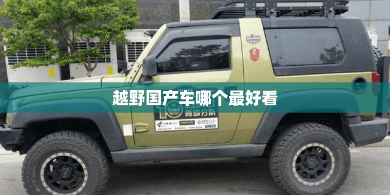 越野国产车哪个最好看
