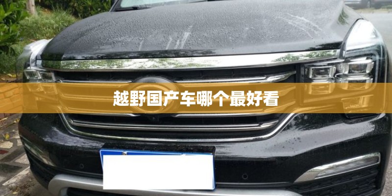 越野国产车哪个最好看