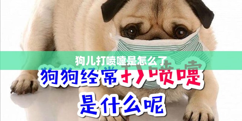 狗儿打喷嚏是怎么了