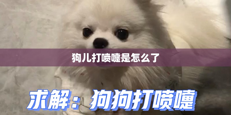 狗儿打喷嚏是怎么了