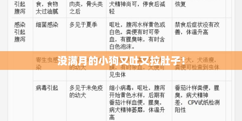 没满月的小狗又吐又拉肚子！