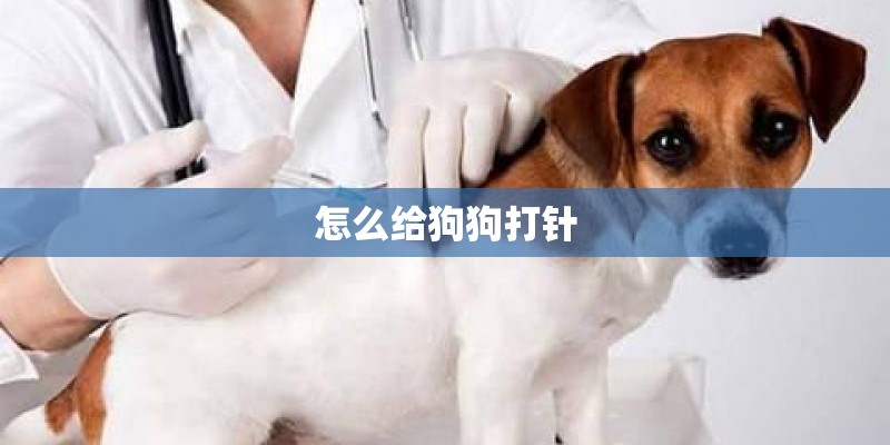 怎么给狗狗打针